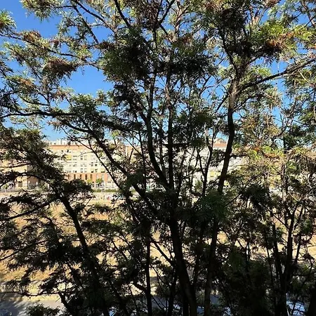 Apartament With Style And Comfort For 4 Malaga